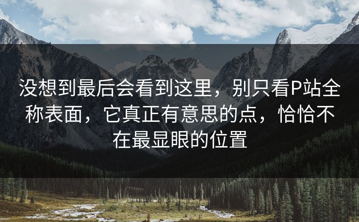 没想到最后会看到这里，别只看P站全称表面，它真正有意思的点，恰恰不在最显眼的位置