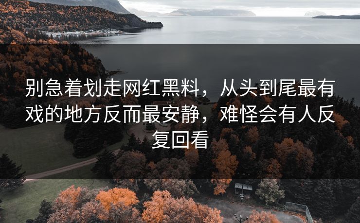 别急着划走网红黑料，从头到尾最有戏的地方反而最安静，难怪会有人反复回看
