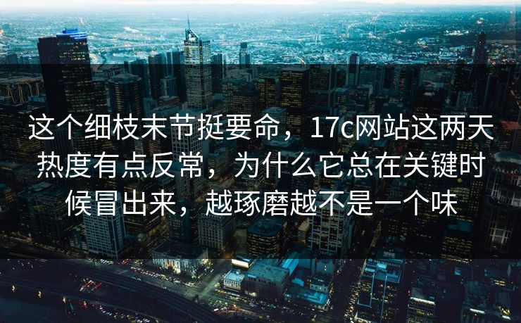 这个细枝末节挺要命，17c网站这两天热度有点反常，为什么它总在关键时候冒出来，越琢磨越不是一个味