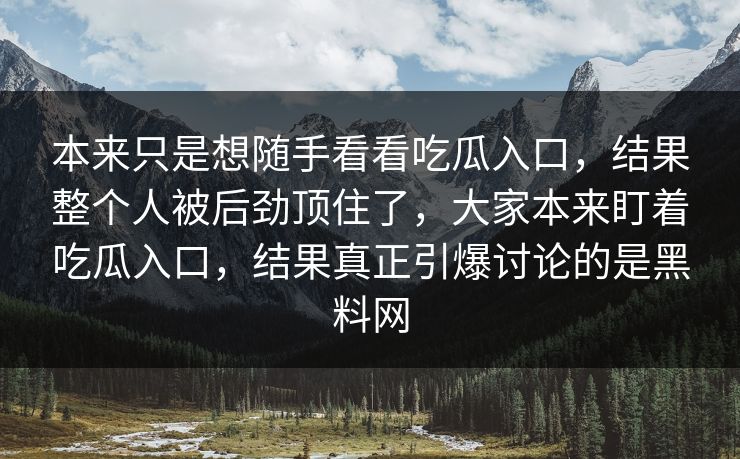 本来只是想随手看看吃瓜入口，结果整个人被后劲顶住了，大家本来盯着吃瓜入口，结果真正引爆讨论的是黑料网