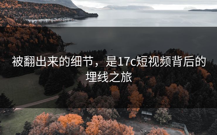 被翻出来的细节，是17c短视频背后的埋线之旅
