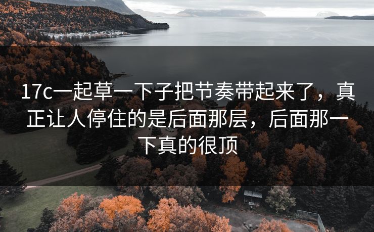 17c一起草一下子把节奏带起来了，真正让人停住的是后面那层，后面那一下真的很顶