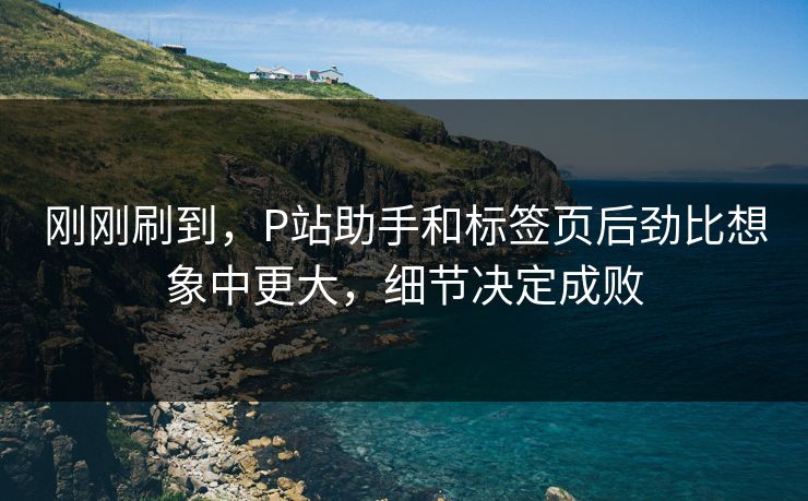 刚刚刷到，P站助手和标签页后劲比想象中更大，细节决定成败