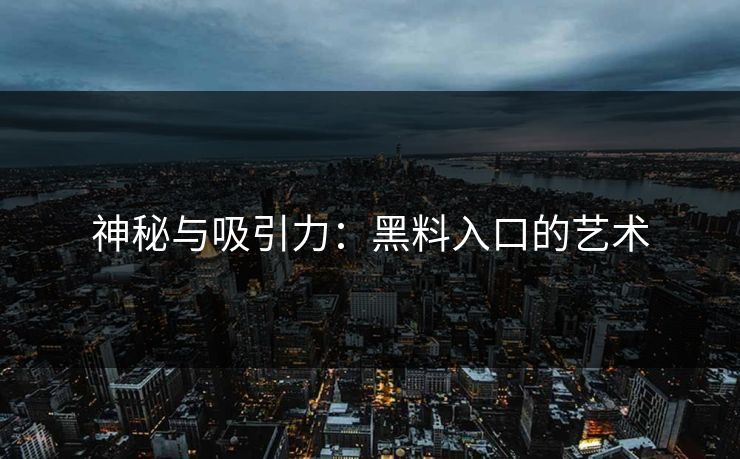 神秘与吸引力：黑料入口的艺术