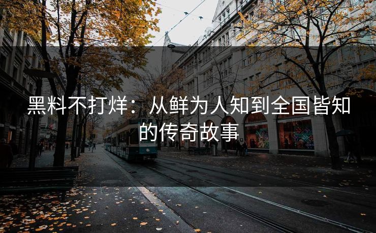 黑料不打烊：从鲜为人知到全国皆知的传奇故事
