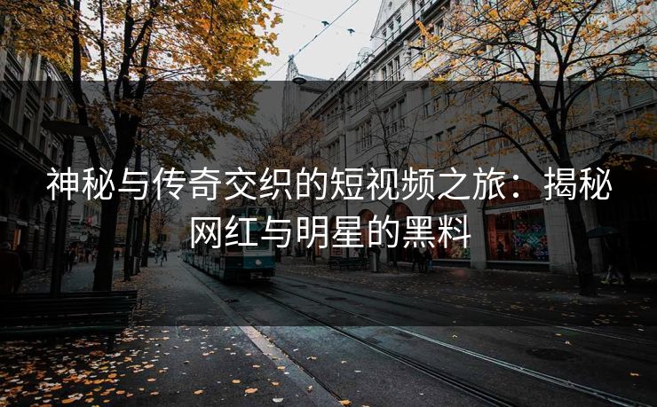 神秘与传奇交织的短视频之旅：揭秘网红与明星的黑料