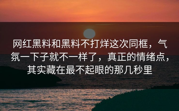 网红黑料和黑料不打烊这次同框，气氛一下子就不一样了，真正的情绪点，其实藏在最不起眼的那几秒里